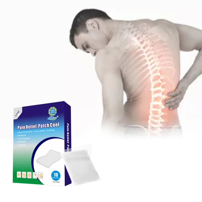 Back Pain Plasters.jpg